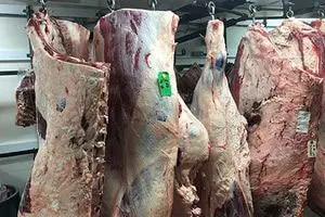Meat hanged in shop for selling